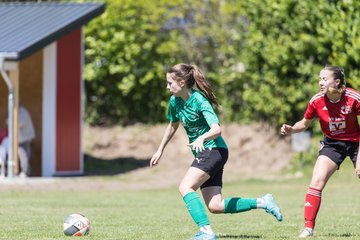 Bild 110 - F SG NieBar - IF Stjernen Flensborg : Ergebnis: 2:0